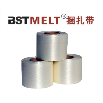 9mm Bonded Textile Strapping